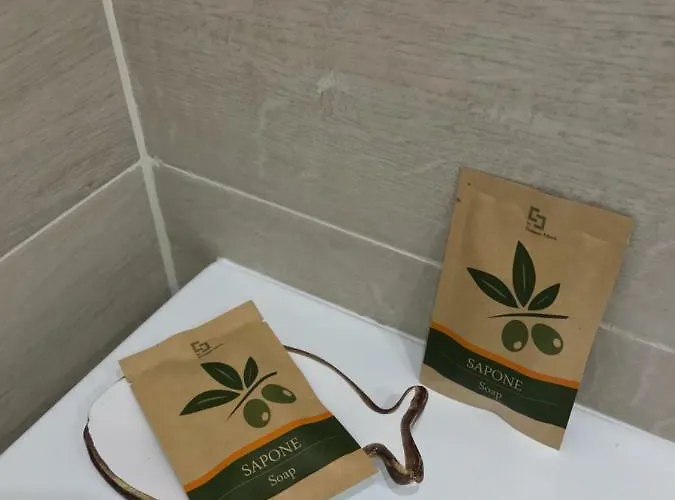 Anciua Delle Cinque Terre Appartement